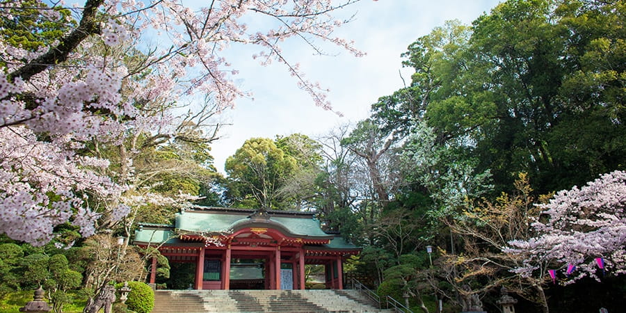 美しい山道