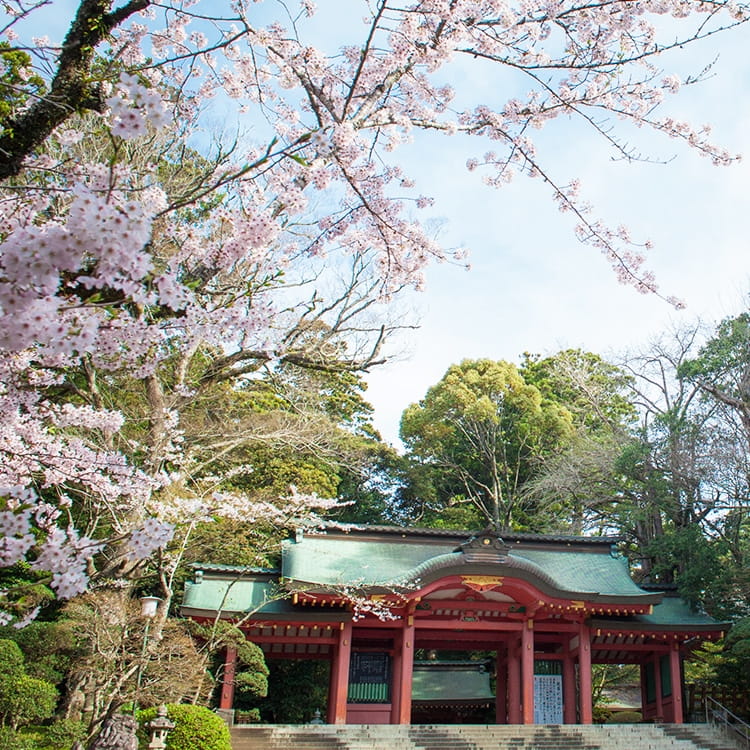 美しい山道