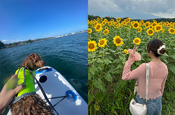 愛犬と旅行