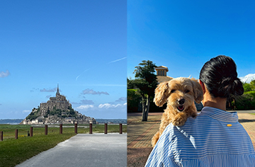 旅行＋わんこと一緒