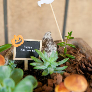 ハロウィン装飾もしています