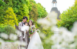 【春】いつか私も結婚したらここで式を挙げたい