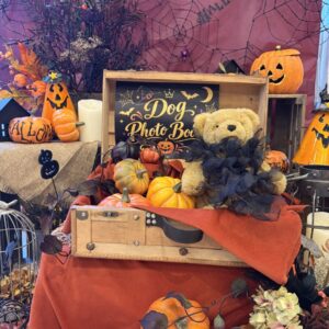 秋の味覚＆ハロウィンビュッフェご予約スタート！