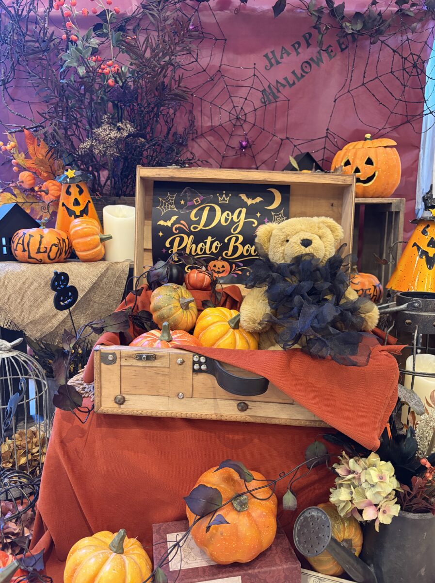 秋の味覚&ハロウィンビュッフェご予約スタート!
